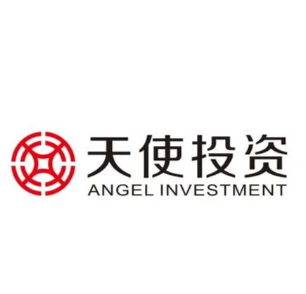 天使投资管理 早期投资的关键策略与风险管理