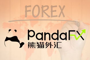 外汇交易资产管理进阶指南 构建稳健的投资框架