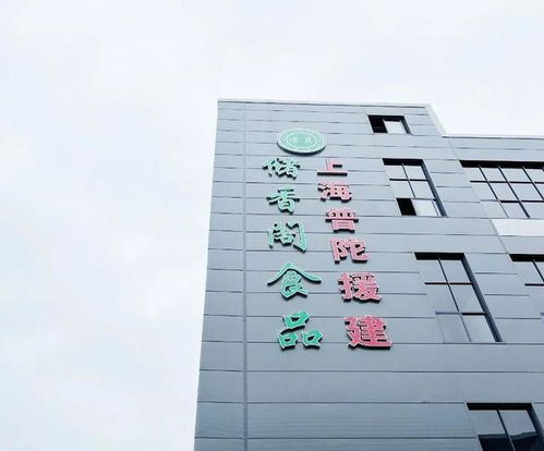 普陀区 打造产业新高地 跑出振兴“加速度”